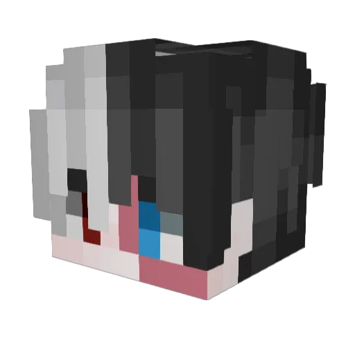 baleioso Minecraft avatar head, 3D render