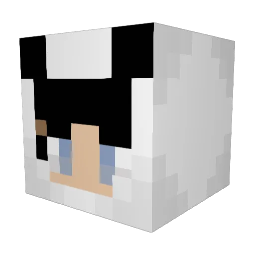 ballaison Minecraft avatar head, 3D render