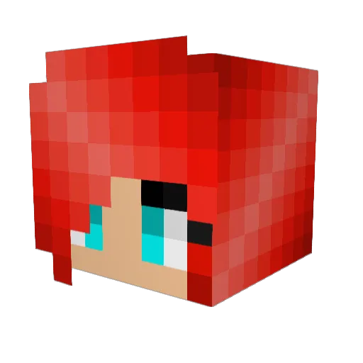 ballballwang Minecraft avatar head, 3D render