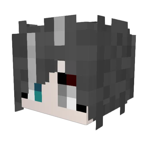 ballban5023 Minecraft avatar head, 3D render