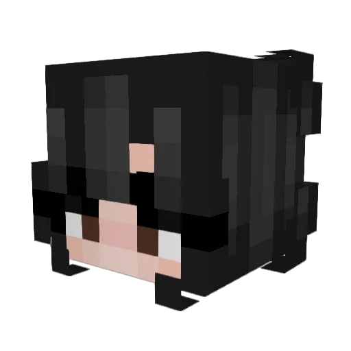 ballcrusher10 Minecraft avatar head, 3D render