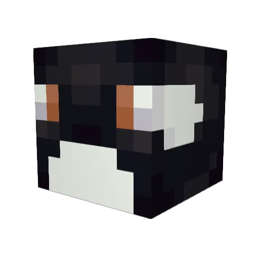ballenagrande Minecraft avatar head, 3D render