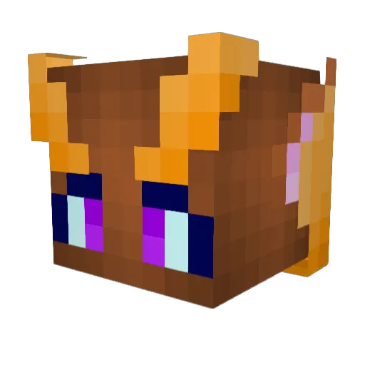 baller273 Minecraft avatar head, 3D render
