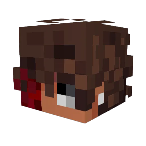 ballhogduke Minecraft avatar head, 3D render