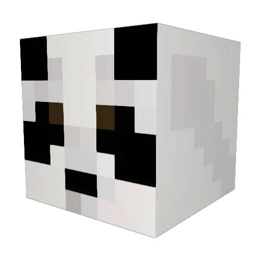 ballin_cat445 Minecraft avatar head, 3D render