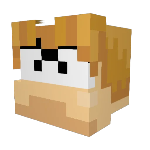 balllerr Minecraft avatar head, 3D render