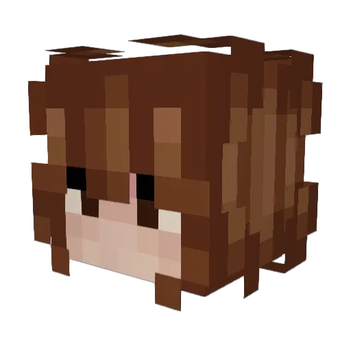 balloondog8 Minecraft avatar head, 3D render