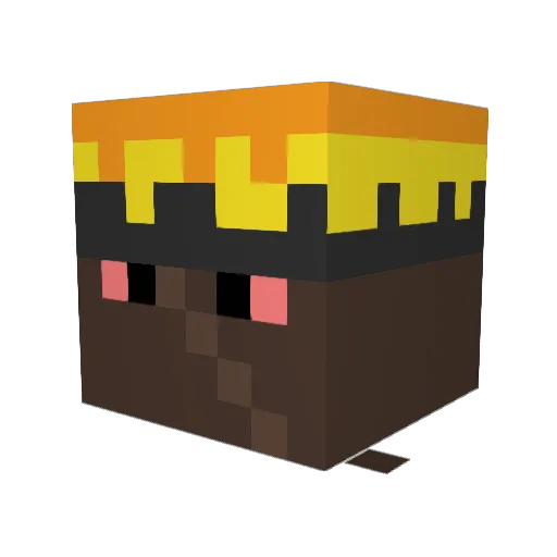 ballsSACK Minecraft avatar head, 3D render
