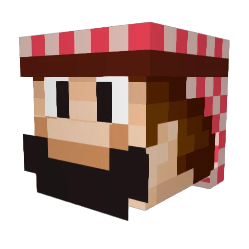 ballshredder3000 Minecraft avatar head, 3D render