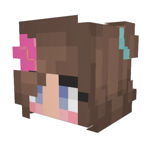 ballzdeepeeeeeee Minecraft avatar head, 3D render