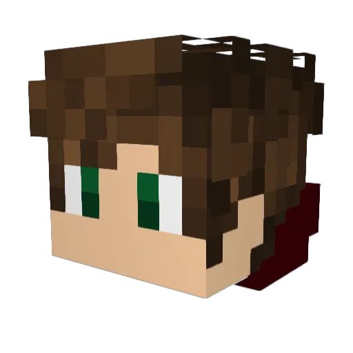baloo1379 Minecraft avatar head, 3D render