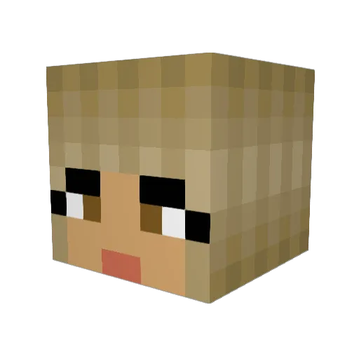 baloo_boi Minecraft avatar head, 3D render