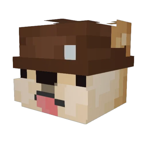 baltaz08 Minecraft avatar head, 3D render