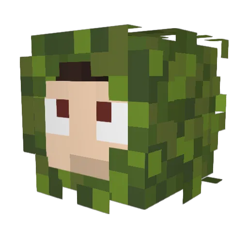 baltyk_ Minecraft avatar head, 3D render