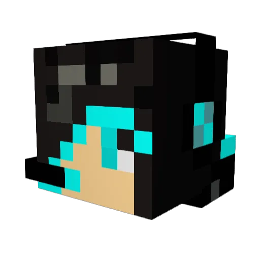 bam1231231 Minecraft avatar head, 3D render