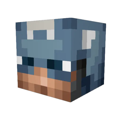 bamapacker12 Minecraft avatar head, 3D render