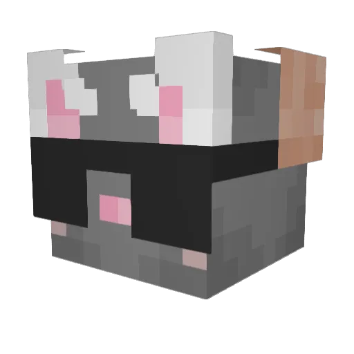 bambamz Minecraft avatar head, 3D render