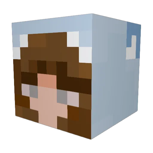bambii0 Minecraft avatar head, 3D render