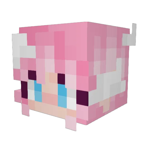 bambles909 Minecraft avatar head, 3D render