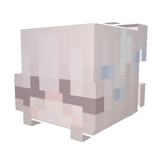 bambooSoup Minecraft avatar head, 3D render