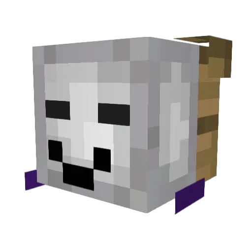 bamboopanda77 Minecraft avatar head, 3D render