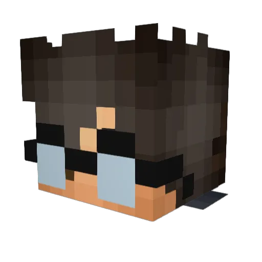 bambu789 Minecraft avatar head, 3D render