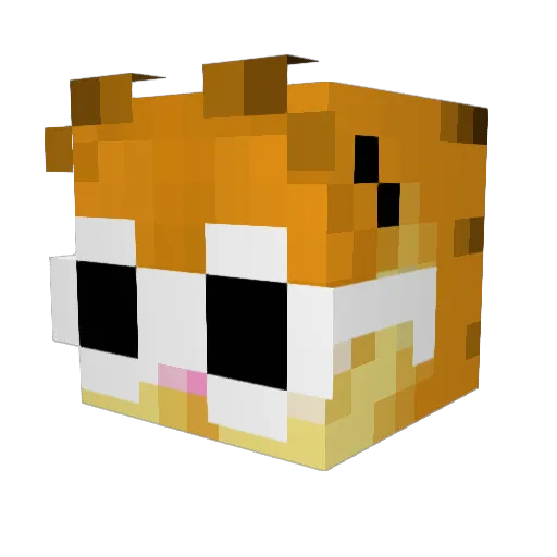 bamcoy40 Minecraft avatar head, 3D render
