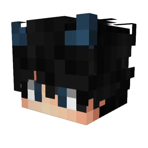 bammbus13 Minecraft avatar head, 3D render