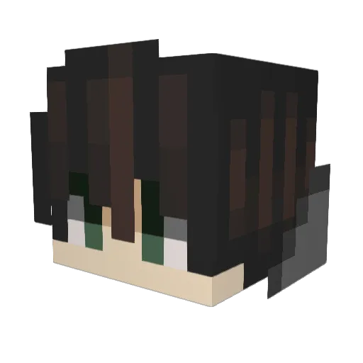 bamoshi4869 Minecraft avatar head, 3D render