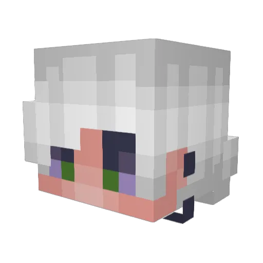 ban0705 Minecraft avatar head, 3D render
