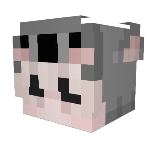 banaanbroodjee Minecraft avatar head, 3D render