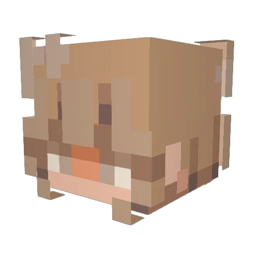 bananapaw Minecraft avatar head, 3D render