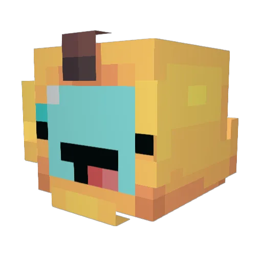bananas091 Minecraft avatar head, 3D render