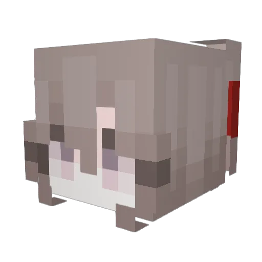 bandagedaddy756 Minecraft avatar head, 3D render