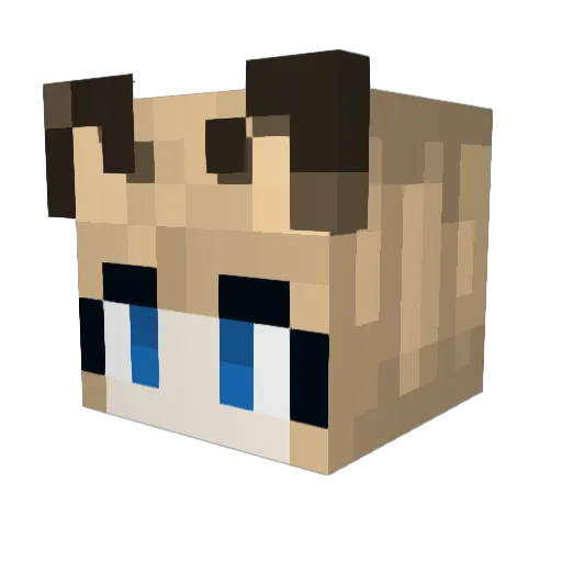 bandi__ Minecraft avatar head, 3D render