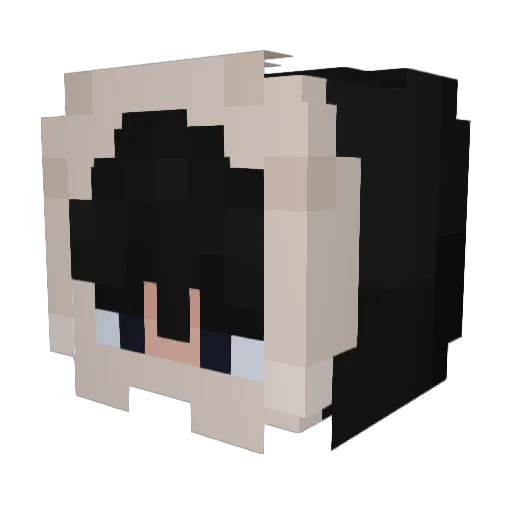 bandit4256 Minecraft avatar head, 3D render