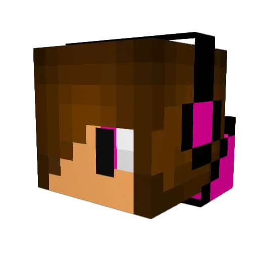 banditcreeper69 Minecraft avatar head, 3D render