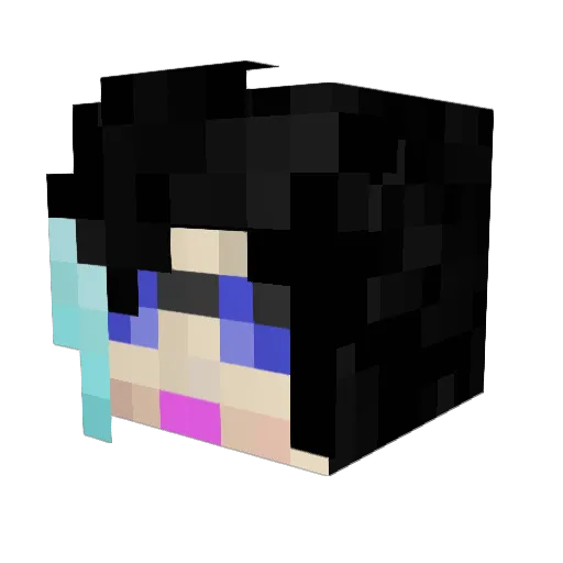 bandnerd1 Minecraft avatar head, 3D render