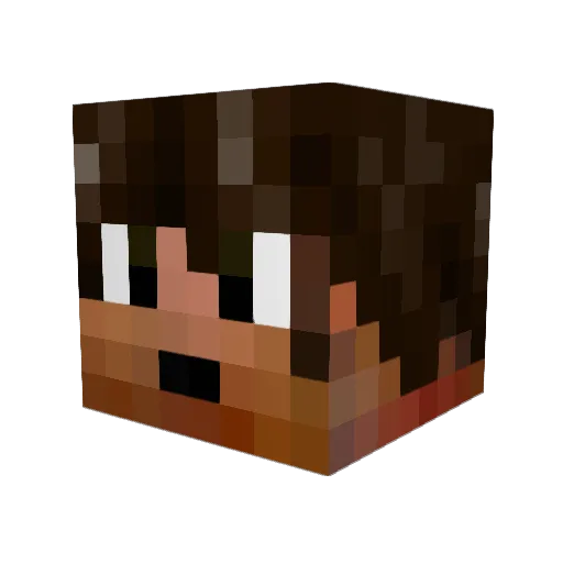 bandwagonesque Minecraft avatar head, 3D render