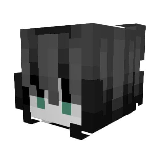 bangigkeit Minecraft avatar head, 3D render