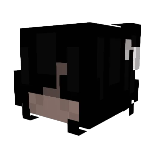 bangtanforever_ Minecraft avatar head, 3D render