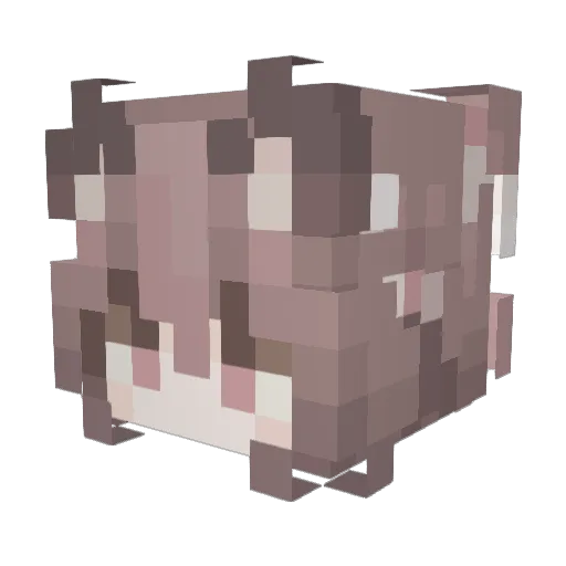 banie Minecraft avatar head, 3D render