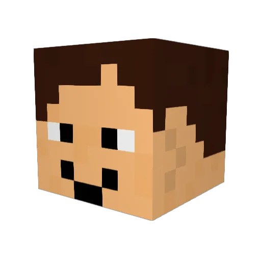 banjaxed_ Minecraft avatar head, 3D render
