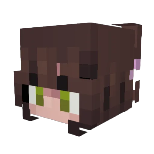 banjoisawesome Minecraft avatar head, 3D render