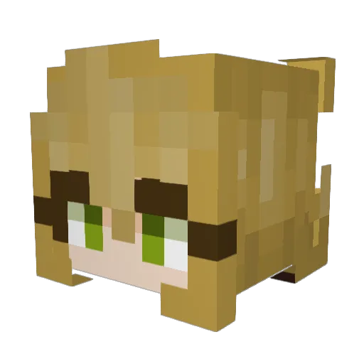 bannanii_ta Minecraft avatar head, 3D render