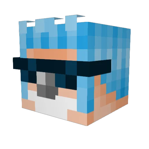 bannasoup Minecraft avatar head, 3D render