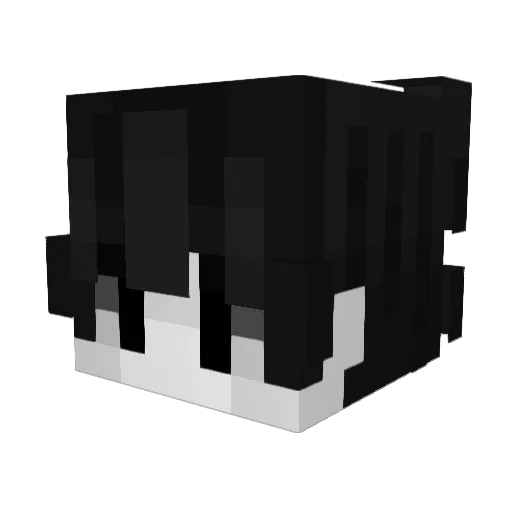 bannedfroots Minecraft avatar head, 3D render