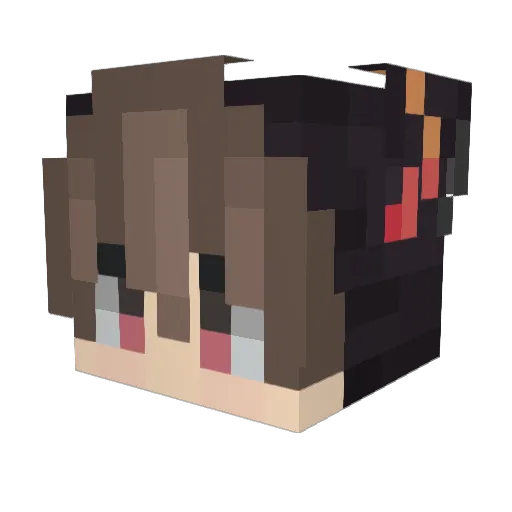 banneduh Minecraft avatar head, 3D render