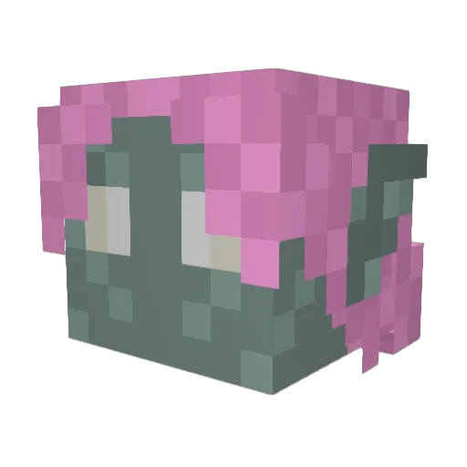 bannharrell Minecraft avatar head, 3D render