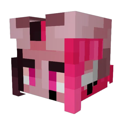 bansheecry Minecraft avatar head, 3D render